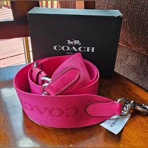Coach Webbing Strap Dragonfruit